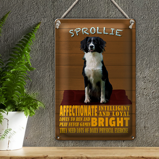 Blechschild Spruch 20x30cm Sprollie Hund intelligent loyal