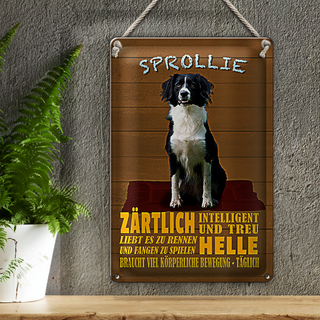 Blechschild Spruch 20x30cm Sprollie Hund zärtlich und treu