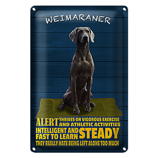 Blechschild Spruch 20x30cm Weimaraner Hund alert and steady