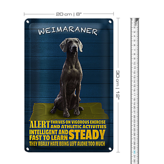 Blechschild Spruch 20x30cm Weimaraner Hund alert and steady