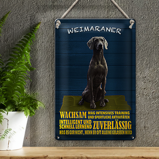 Blechschild Spruch 20x30cm Weimaraner Hund wachsam schnell