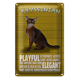 Blechschild Spruch 20x30cm Abyssinian Katze playful elegant