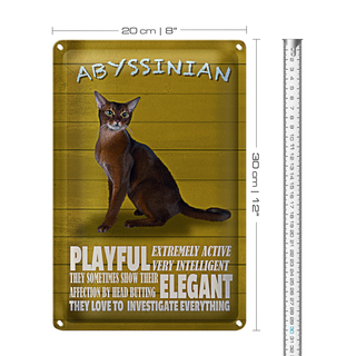 Blechschild Spruch 20x30cm Abyssinian Katze playful elegant