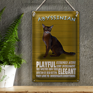 Blechschild Spruch 20x30cm Abyssinian Katze playful elegant