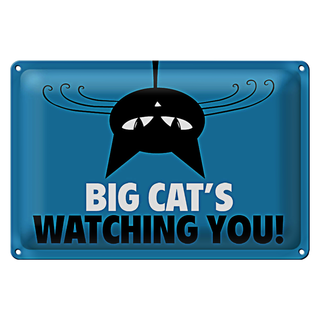 Blechschild Spruch 30x20cm Big cats watching you Katze