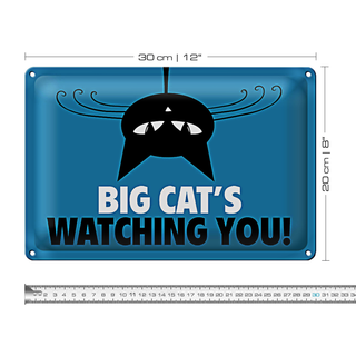 Blechschild Spruch 30x20cm Big cats watching you Katze