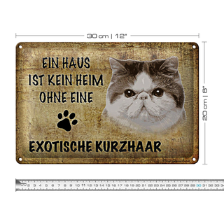 Blechschild Spruch 30x20cm exotische Kurzhaar Katze