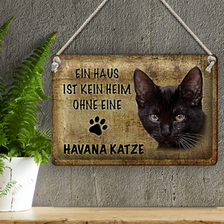 Blechschild Spruch 30x20cm Havana Katze ohne kein Heim