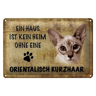 Blechschild Spruch 30x20cm orientalisch Kurzhaar Katze