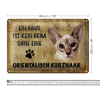 Blechschild Spruch 30x20cm orientalisch Kurzhaar Katze