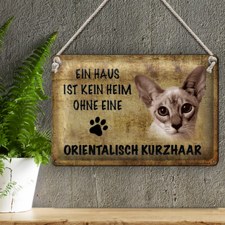 Blechschild Spruch 30x20cm orientalisch Kurzhaar Katze