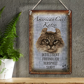 Blechschild Spruch 20x30cm American Curl Katze