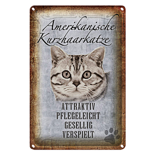Blechschild Spruch 20x30cm Americanische Katze Kurzhaar