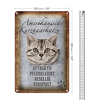 Blechschild Spruch 20x30cm Americanische Katze Kurzhaar