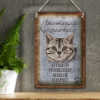 Blechschild Spruch 20x30cm Americanische Katze Kurzhaar