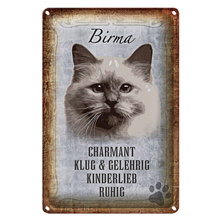 Blechschild Spruch 20x30cm Birma Katze klug