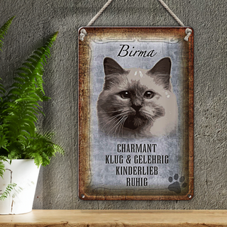 Blechschild Spruch 20x30cm Birma Katze klug