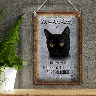 Blechschild Spruch 20x30cm Bombaykatze Katze