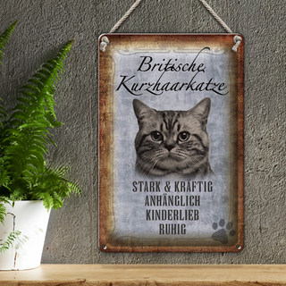 Blechschild Spruch 20x30cm britische kurzhaarkatze