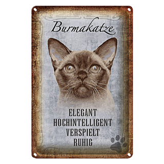 Blechschild Spruch 20x30cm Burmakatze Katze