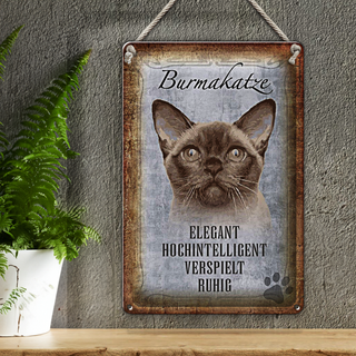 Blechschild Spruch 20x30cm Burmakatze Katze