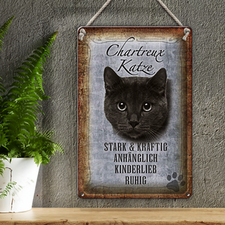 Blechschild Spruch 20x30cm Chartreux Katze stark