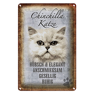 Blechschild Spruch 20x30cm Chinchilla Katze hübsch elegant