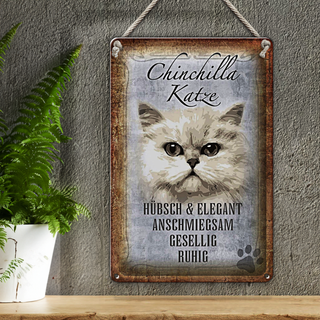 Blechschild Spruch 20x30cm Chinchilla Katze hübsch elegant