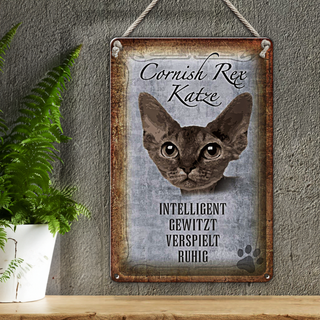 Blechschild Spruch 20x30cm Cornish Rex Katze