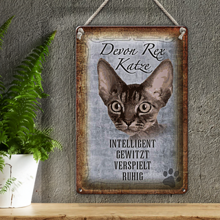 Blechschild Spruch 20x30cm Devon Rex Katze intelligent