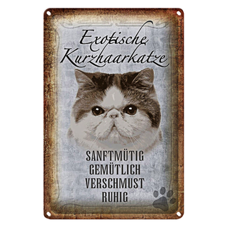 Blechschild Spruch 20x30cm exotische Kurzhaarkatze Katze