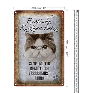 Blechschild Spruch 20x30cm exotische Kurzhaarkatze Katze