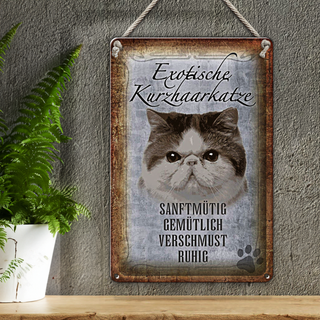 Blechschild Spruch 20x30cm exotische Kurzhaarkatze Katze