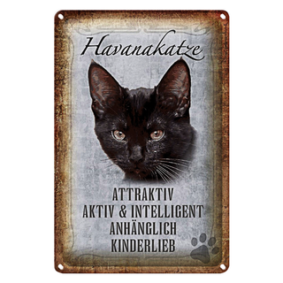 Blechschild Spruch 20x30cm Havanakatze kinderlieb