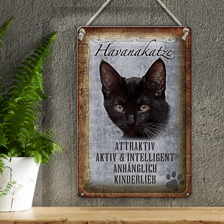 Blechschild Spruch 20x30cm Havanakatze kinderlieb