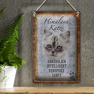 Blechschild Spruch 20x30cm Himalaya Katze sanft