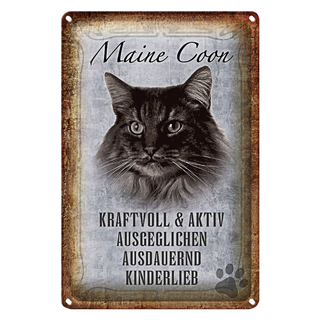 Blechschild Spruch 20x30cm Maine Coon Katze aktiv