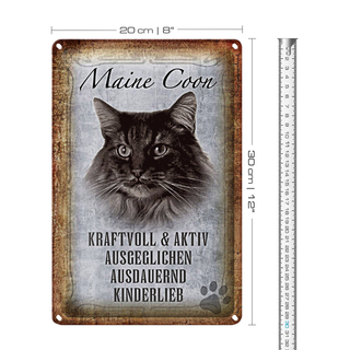 Blechschild Spruch 20x30cm Maine Coon Katze aktiv