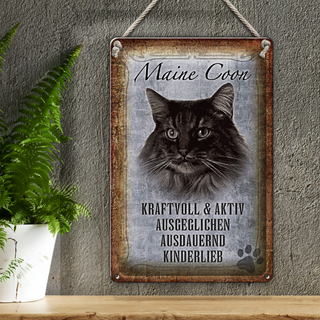 Blechschild Spruch 20x30cm Maine Coon Katze aktiv