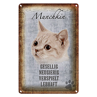 Blechschild Spruch 20x30cm Munchkin Katze lebhaft