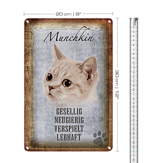 Blechschild Spruch 20x30cm Munchkin Katze lebhaft