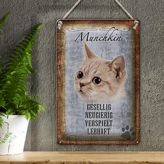 Blechschild Spruch 20x30cm Munchkin Katze lebhaft