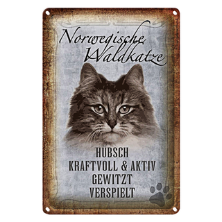 Blechschild Spruch 20x30cm norvegische Waldkatze Katze Wanddeko