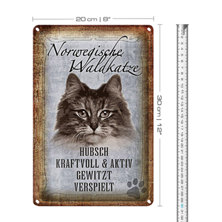 Blechschild Spruch 20x30cm norvegische Waldkatze Katze Wanddeko