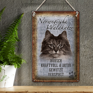 Blechschild Spruch 20x30cm norvegische Waldkatze Katze Wanddeko