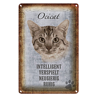 Blechschild Spruch 20x30cm Ocicat Katze verspielt