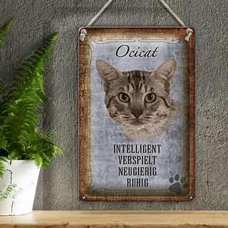 Blechschild Spruch 20x30cm Ocicat Katze verspielt