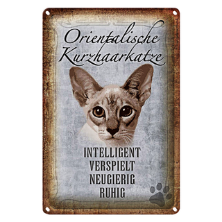 Blechschild Spruch 20x30cm orientalische Kurzhaarkatze