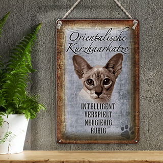 Blechschild Spruch 20x30cm orientalische Kurzhaarkatze