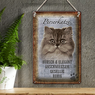 Blechschild Spruch 20x30cm Perserkatze Katze hübsch